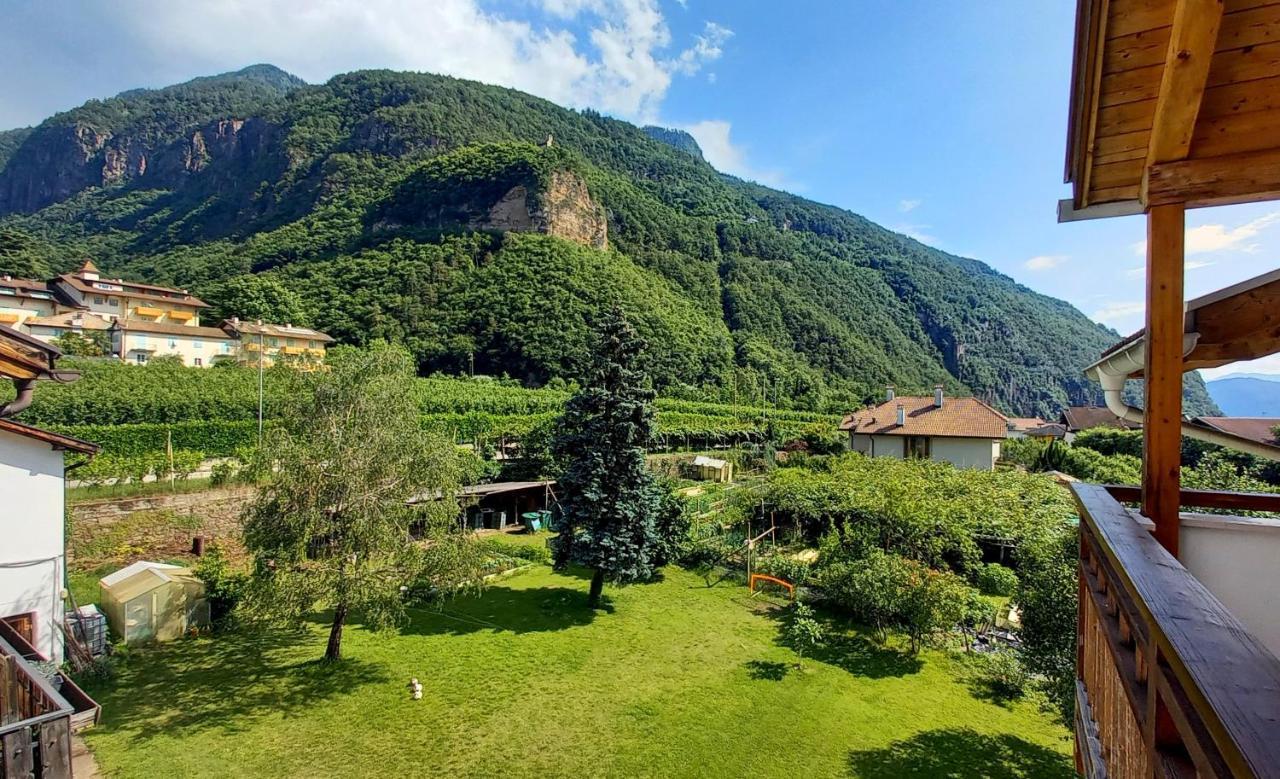 Hotel Garni Gruener Baum ライヴェス エクステリア 写真