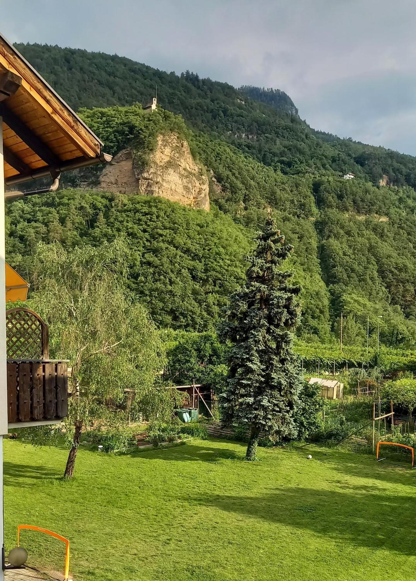Hotel Garni Gruener Baum ライヴェス エクステリア 写真