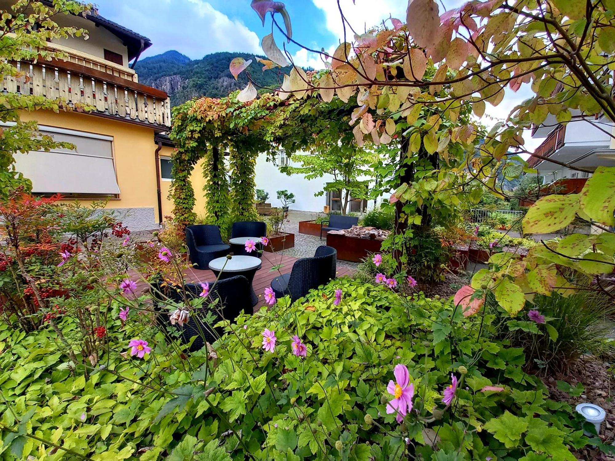 Hotel Garni Gruener Baum ライヴェス エクステリア 写真